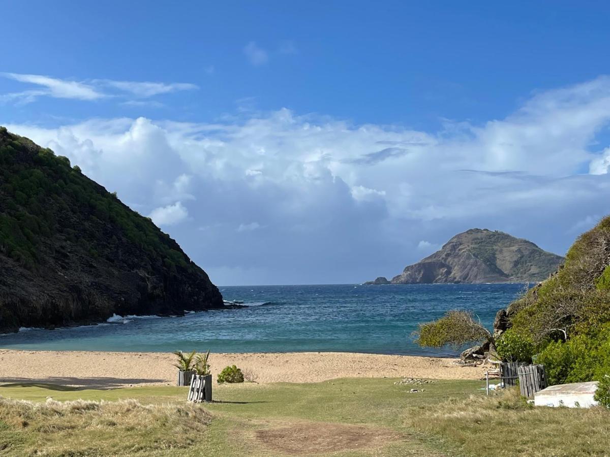Blue Lagoon, Cottage Les Pieds Dans L Eau Terre-De-Haut Exteriör bild